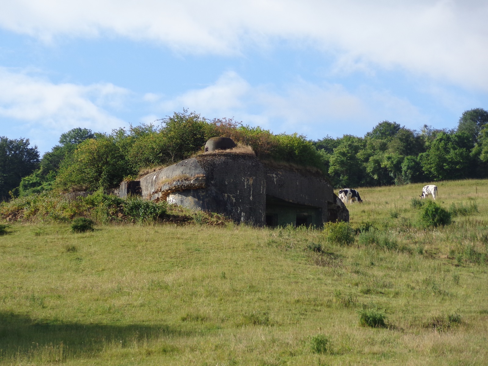 La ligne Maginot