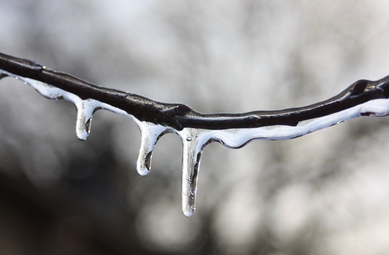 Les Maux de l'hiver