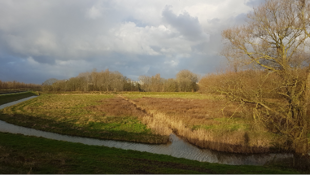 De Oostpunt gezien vanuit het oosten (januari 2022).