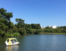 洗足池でスロージョギングをしませんか