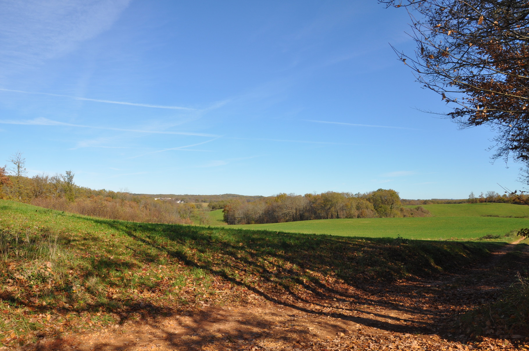 Même en automne, le soleil est omniprésent