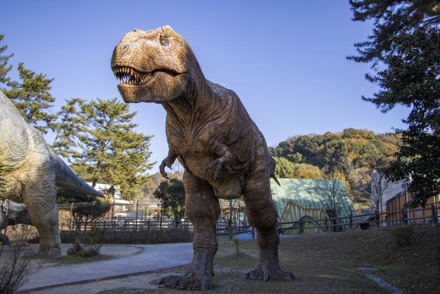 恐竜の筋肉と“進化の空白” 〜モンゴルからの新発見