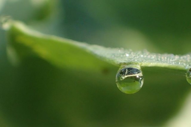 気温が低い雨の日に気をつけたい体調管理と健康食