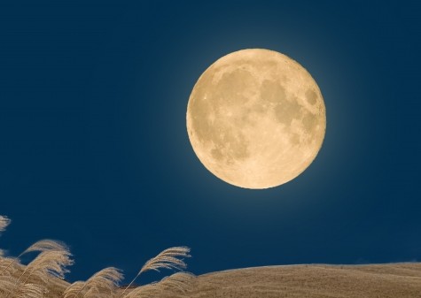 スーパームーンに響く身体のリズム～月と自律神経の関係～