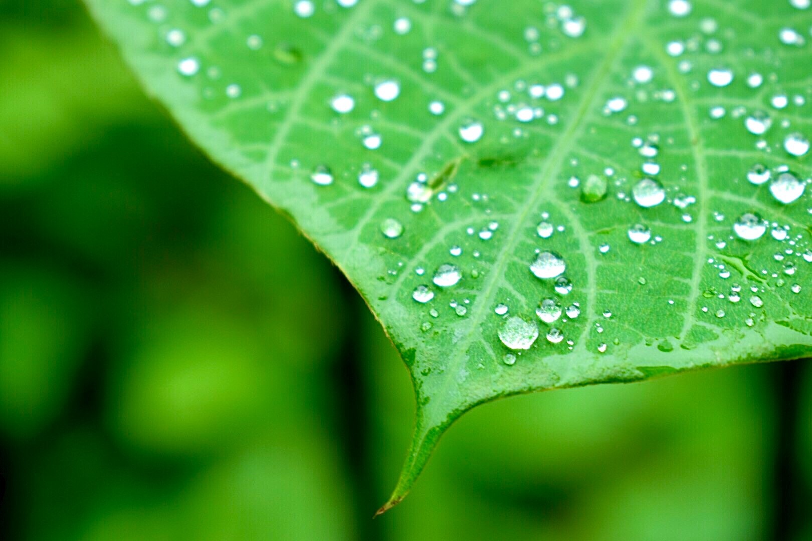 雨と寒さにご注意を