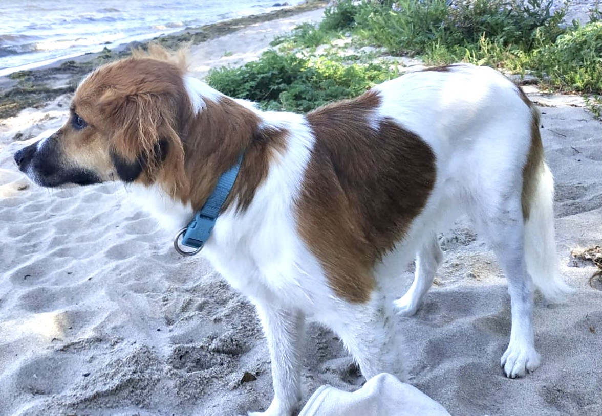 Dori-Amy 1 Jahr