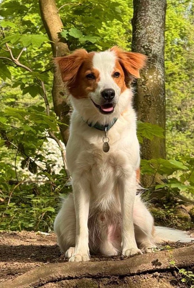 Copper 3 Jahre