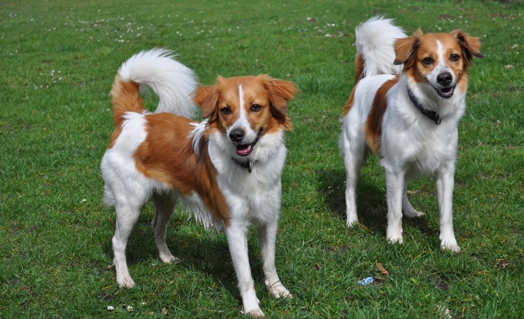 Bea und Beetje März 2019