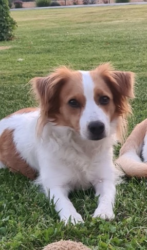 Cassy 4 Jahre