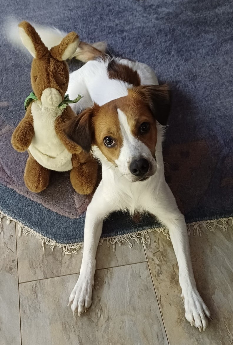 Demi-Emma 1 Jahr 