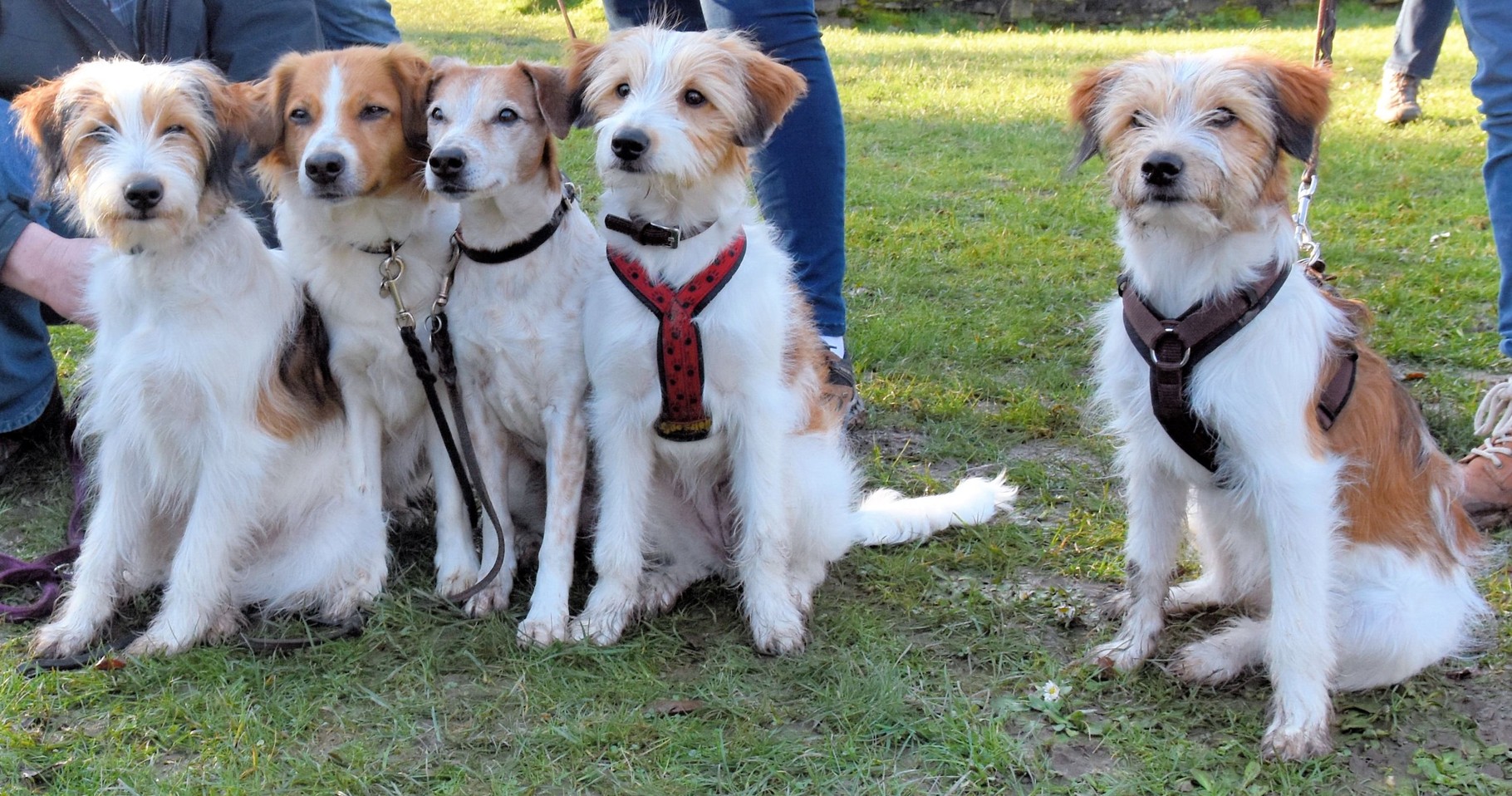 Ayla, Beetje, Amy, Alina und Abby