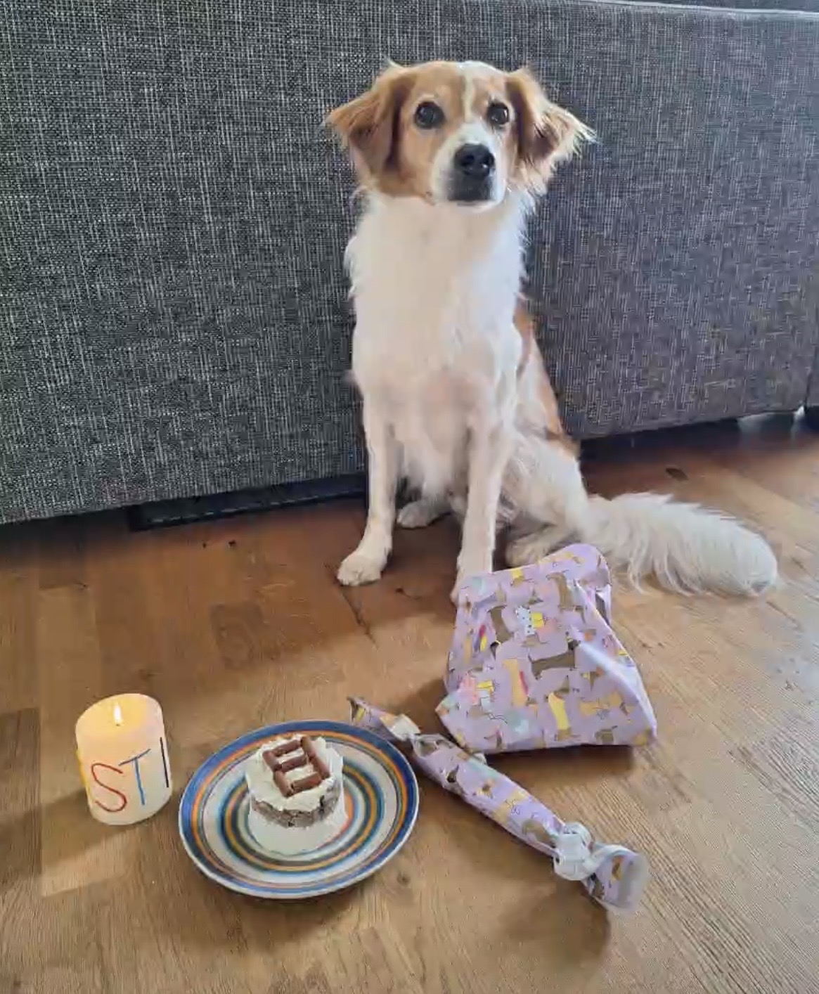 Basti 8 Jahre alt 10. Mai 2026