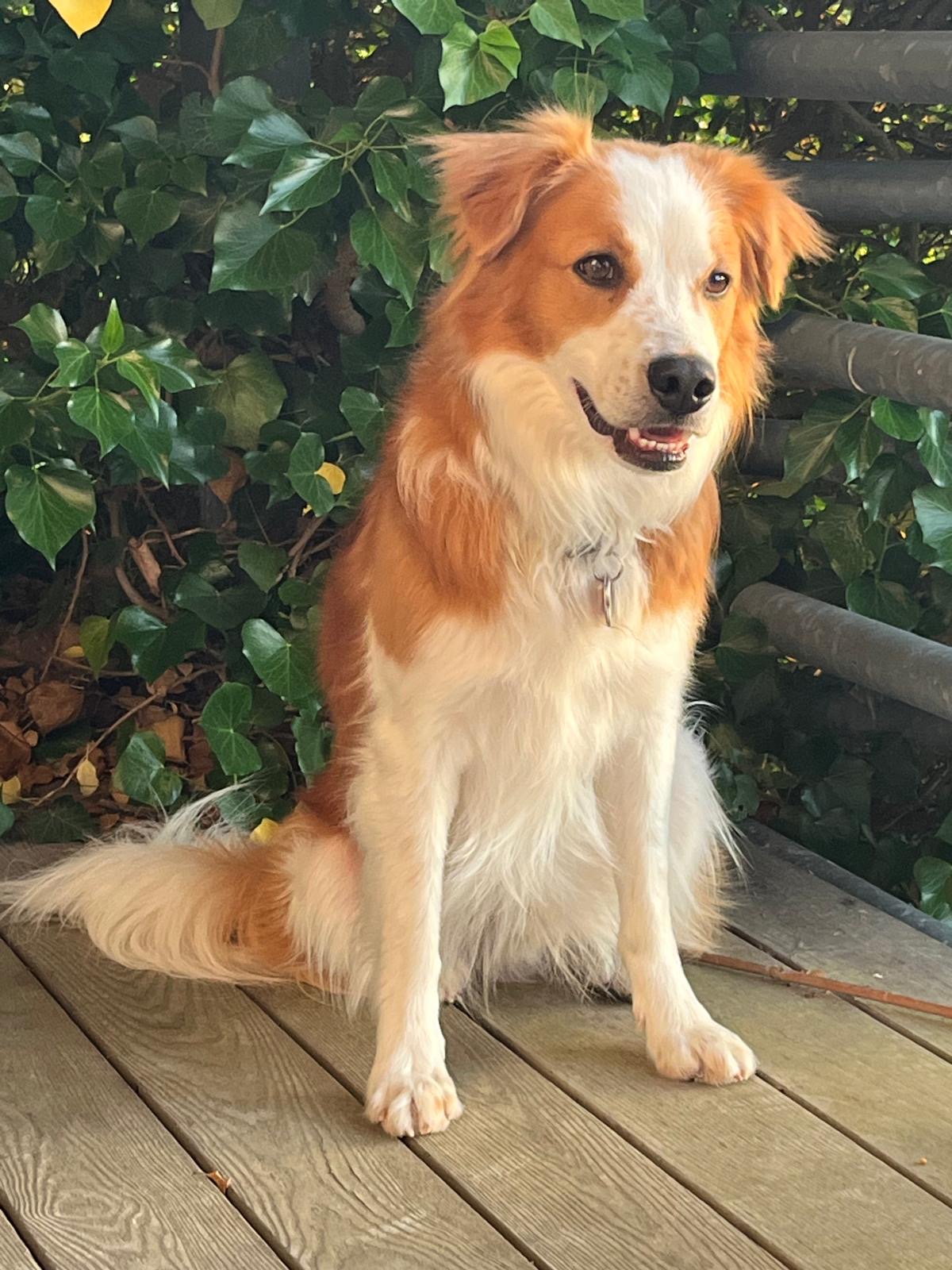 Cosmo 4 Jahre