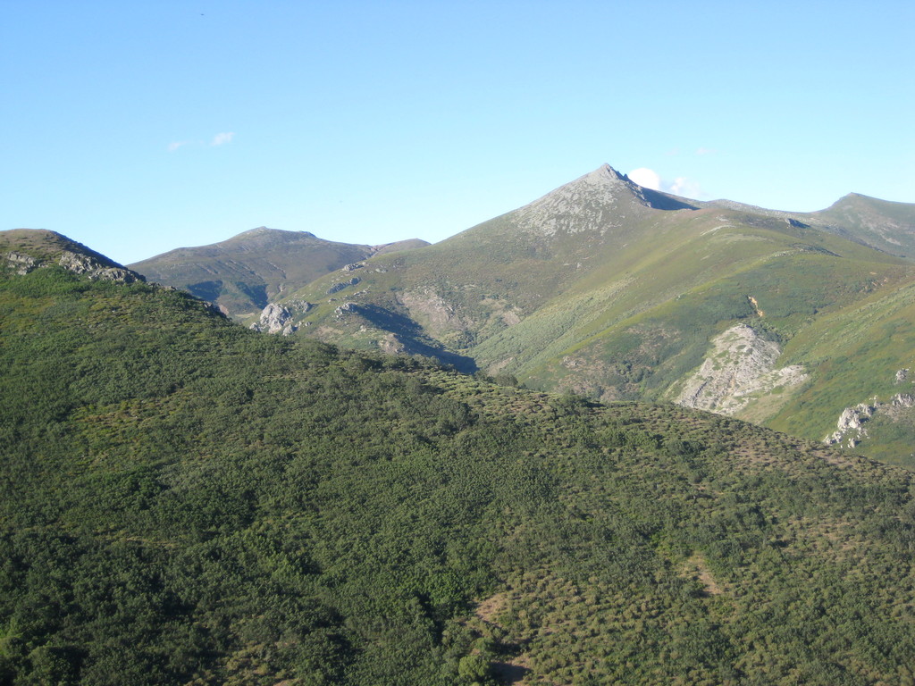 La Arena