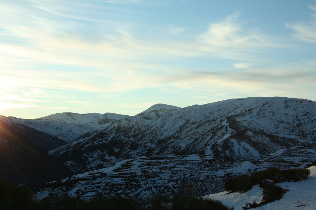 Nevada del 2008.