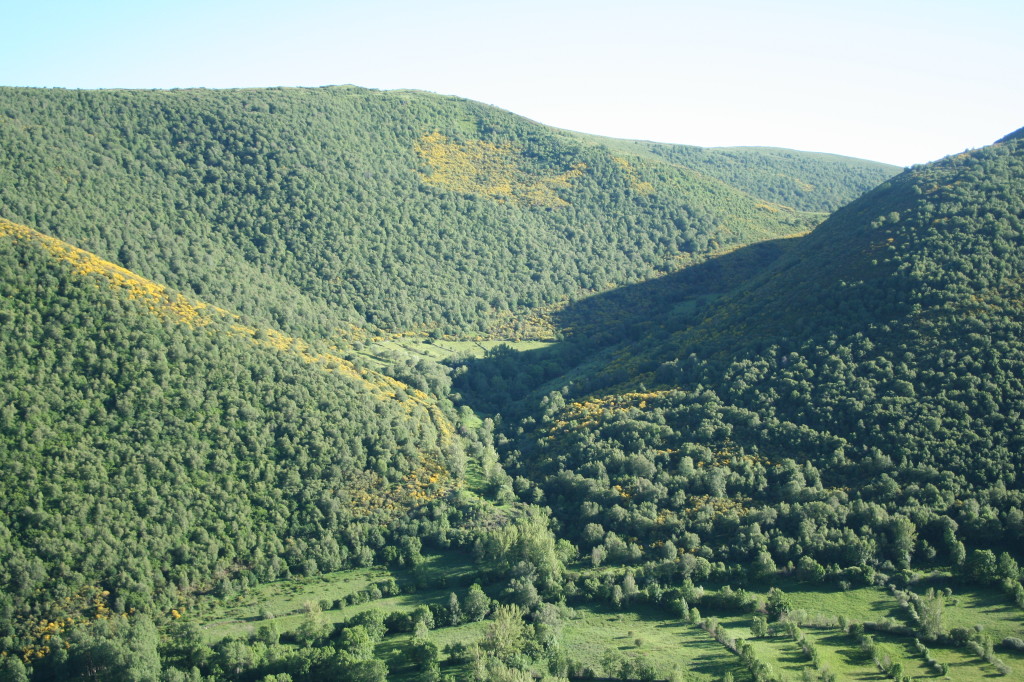 Valle, Valle.
