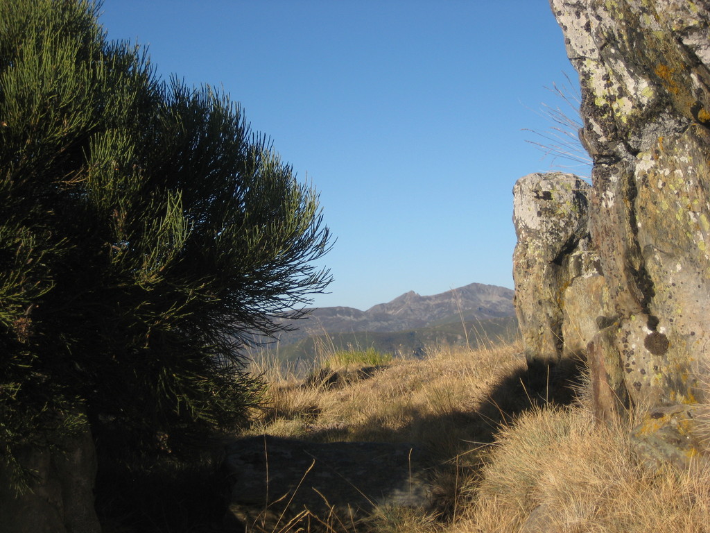 El Catoute al fondo
