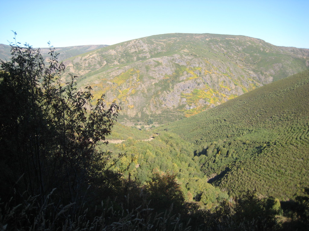 Subida al collao de Vicicuende y Las Calenturas.