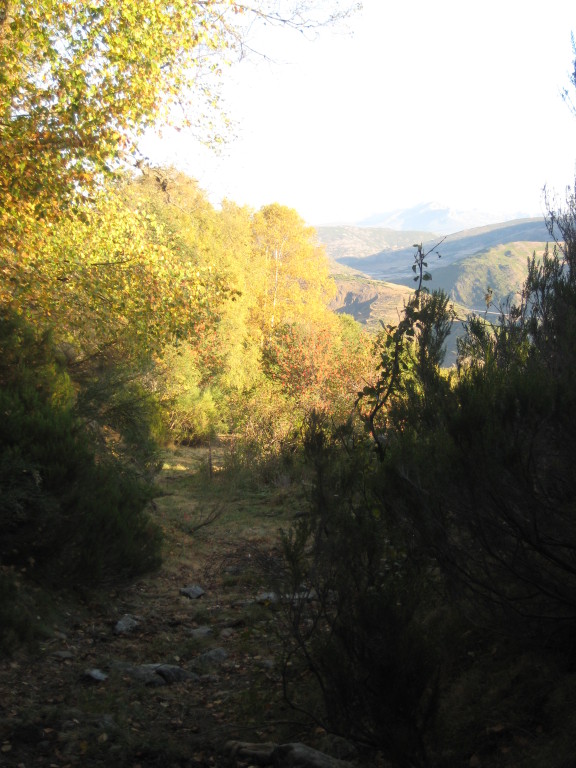Camino Oceo