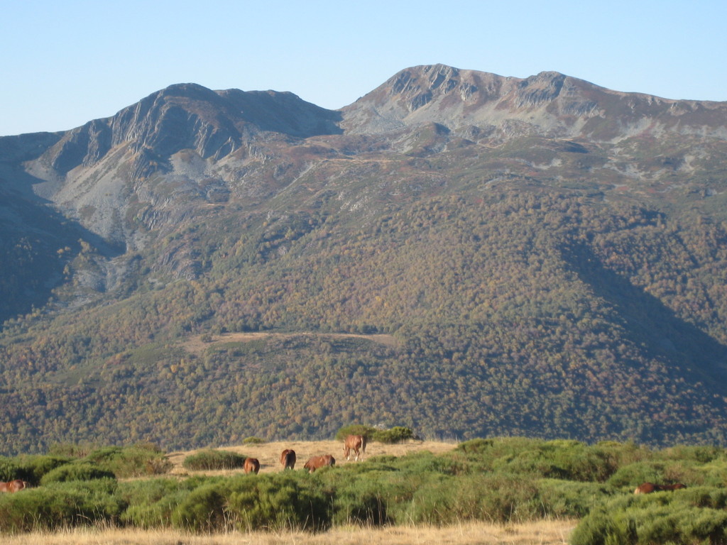 Peña Cefera-Los Arcos del Agua y la cabala de Vegapujín.