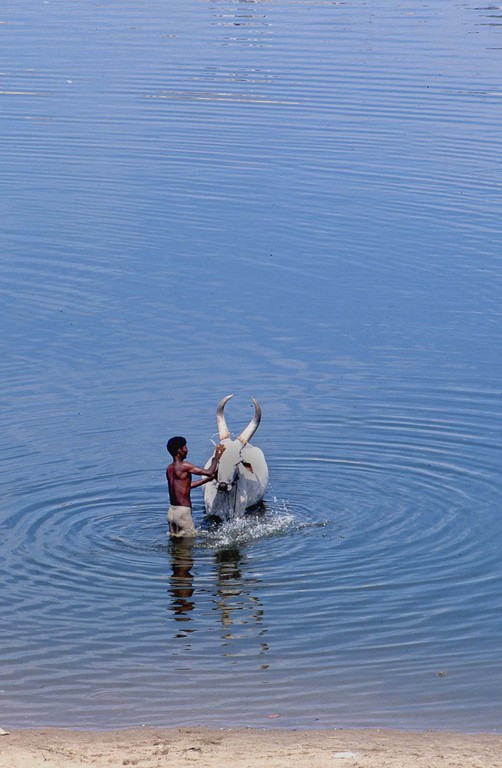 Tamil Nadu Inde