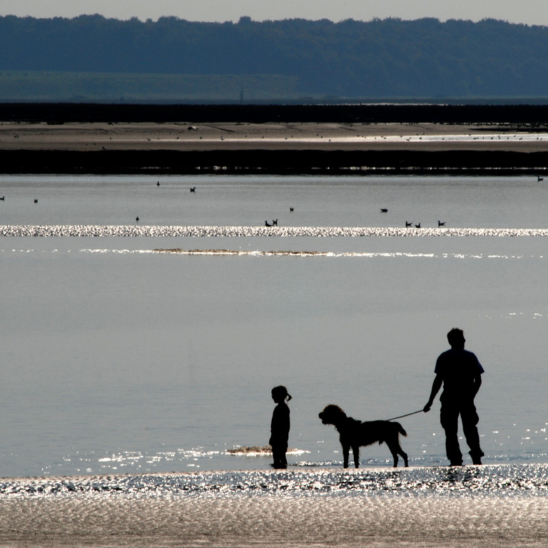 Baie de Somme