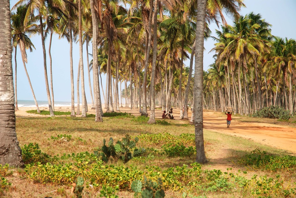 Bénin   Route des Pêcheurs entre Cotonou et Grand Popo
