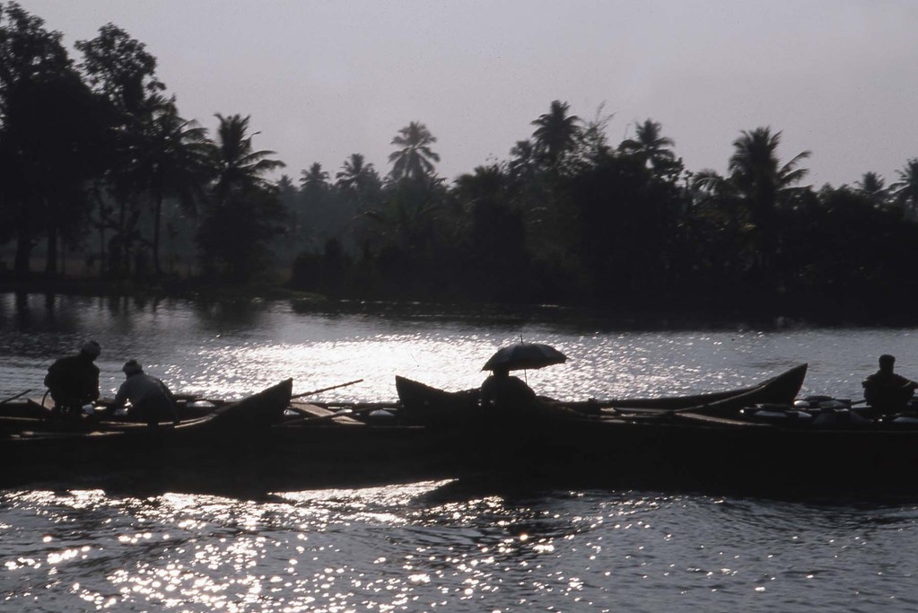 Backwater Kerala Inde