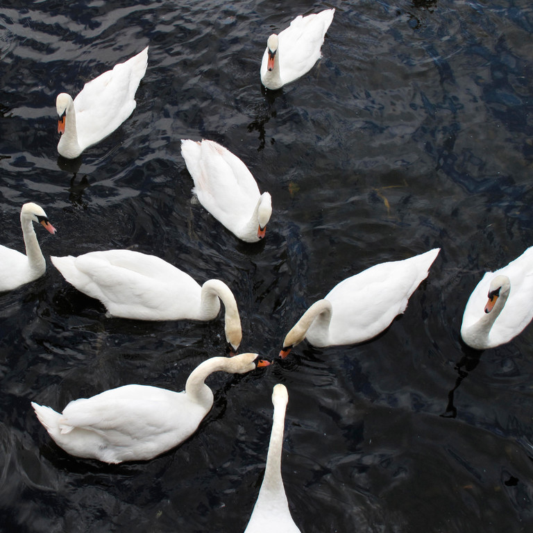 Galway Ireland