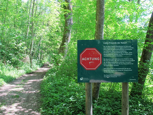 Pommersau - Schönau: Naturwaldreservat