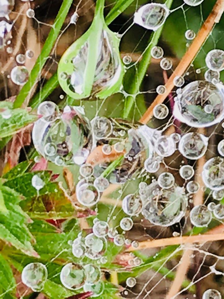 Réalité et Nature des Phénomènes Extra-terrestres