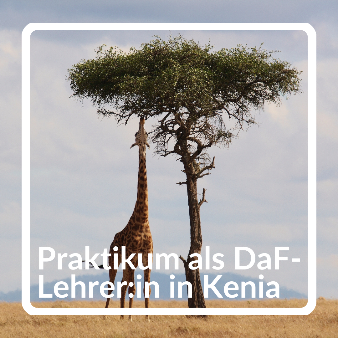 Praktikum als DaF-Lehrer:in in Kenia