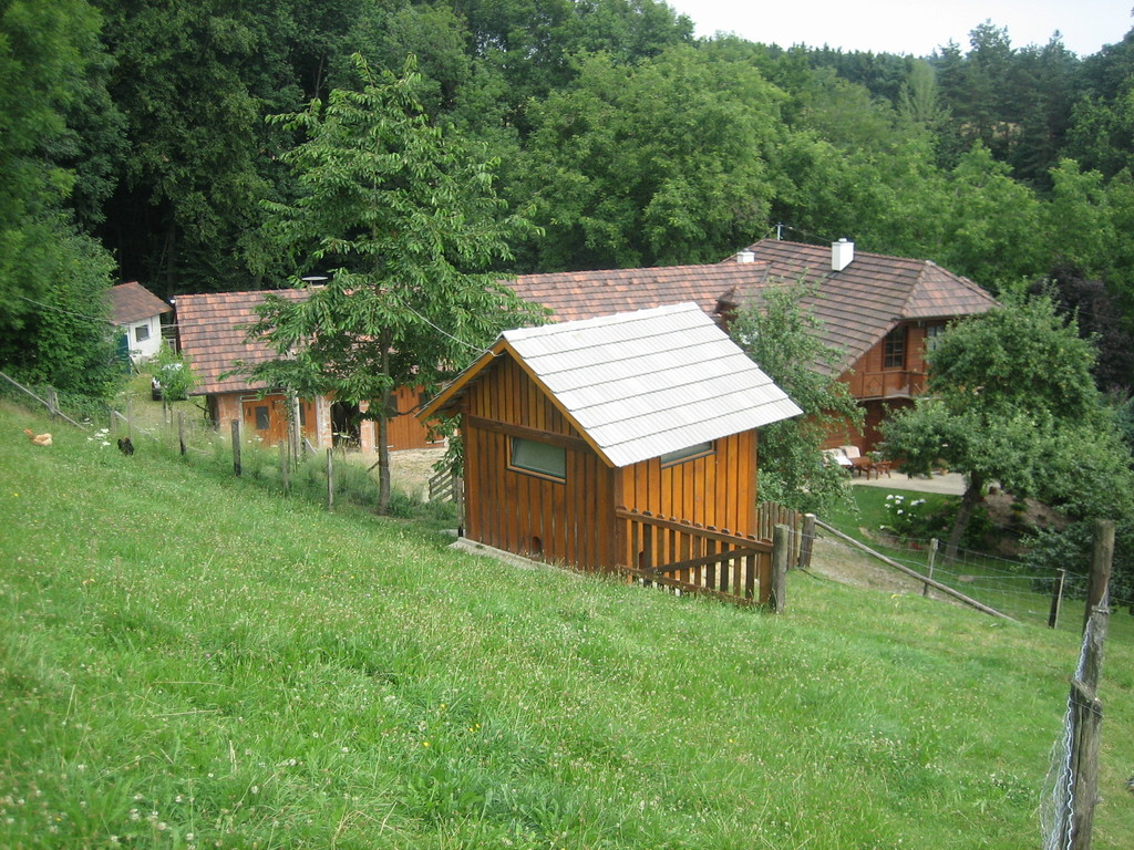 das Hühnerparadies