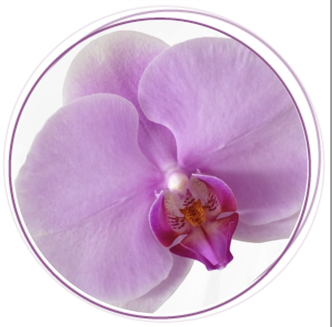 9 Jahre Kosmetikstudio Orchidee