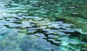 Wasser