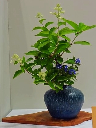 カニの花留め☆ | Liona Flower&Pocelarts 華道則天門で使う花を支える