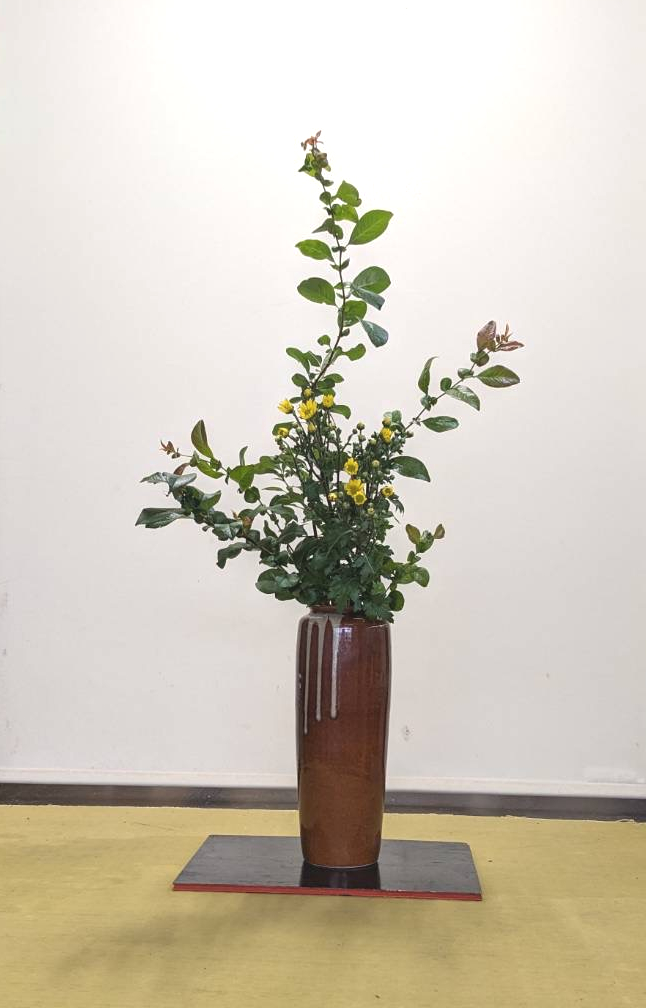 お稽古花 - 華道則天門ホームページ