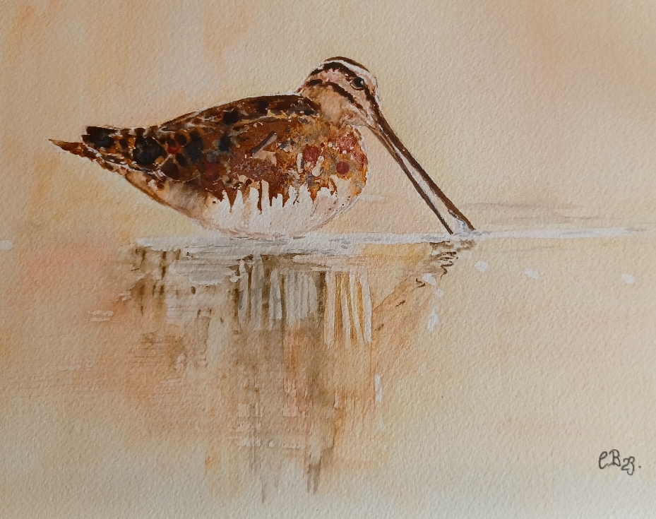 ...hat Gold im Mund. 42x31 cm, Fr. 300.-- (Wechselrahmen, Passepartout) Vorlage: Foto von  Martin Gspurning