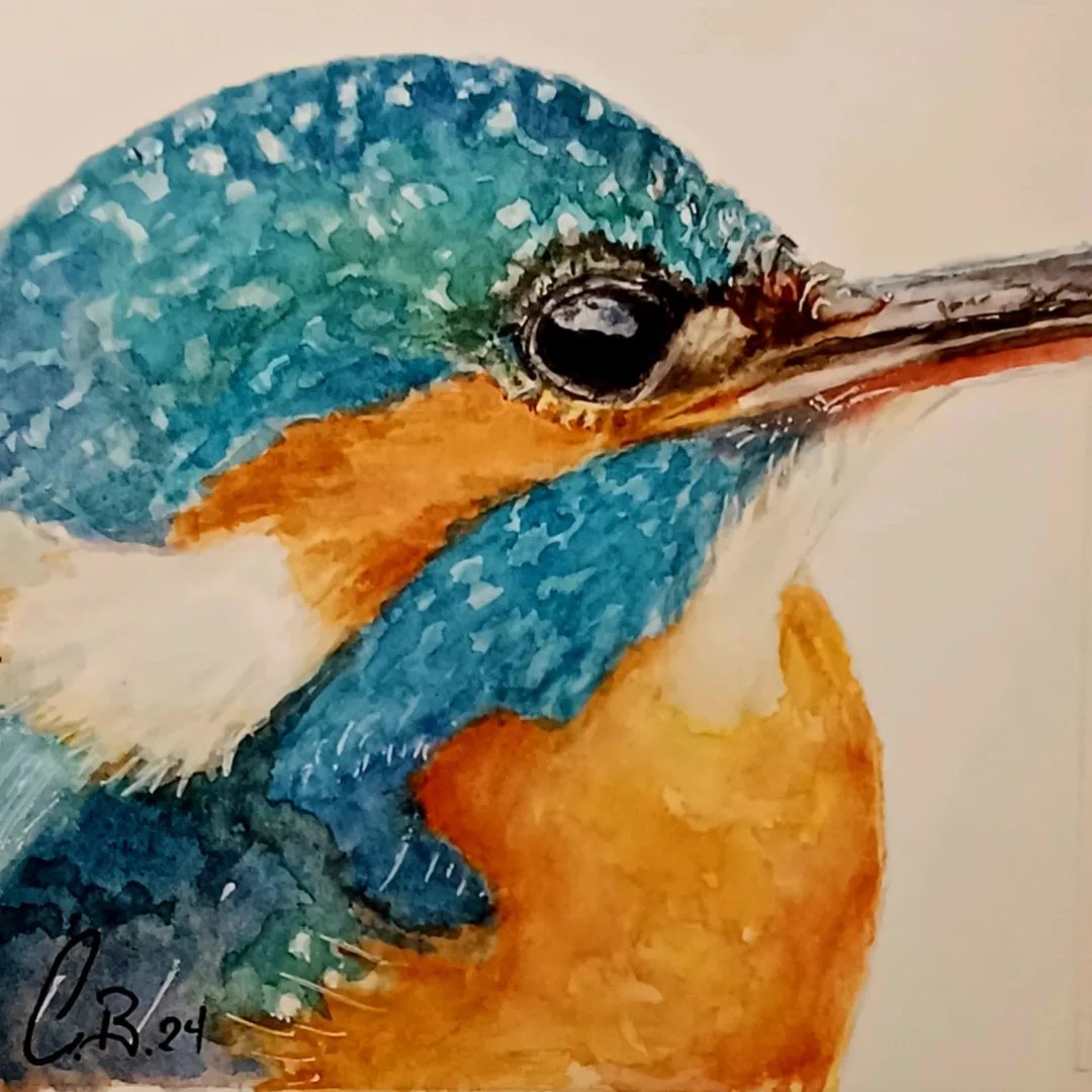 Eisvogel_Grangettes. 10x10 cm, Fr. 100 (Wechselrahmen)