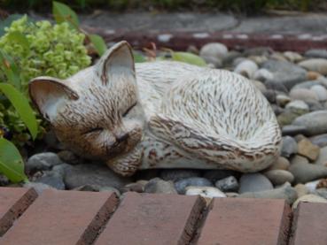 Tierform- Katze in creme: 0,60 ltr. = 180,00 €