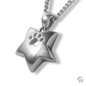 925 Sterling Silber = 119,00 EUR (ohne Kette)