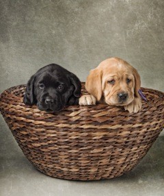 Jill and my girl Aglaia at 6 weeks