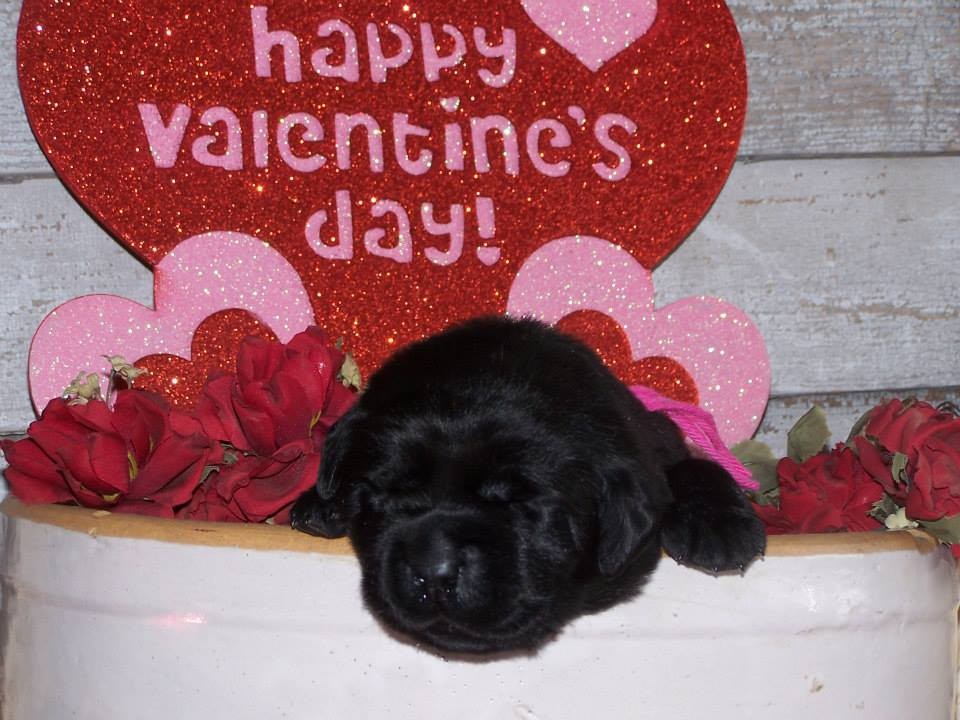 Jill at 2 weeks