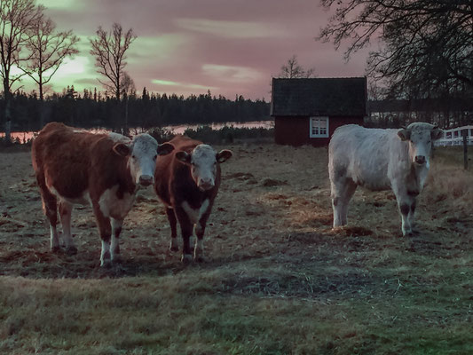 ...und den Abend genießend