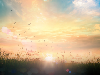 2025年10月の運気