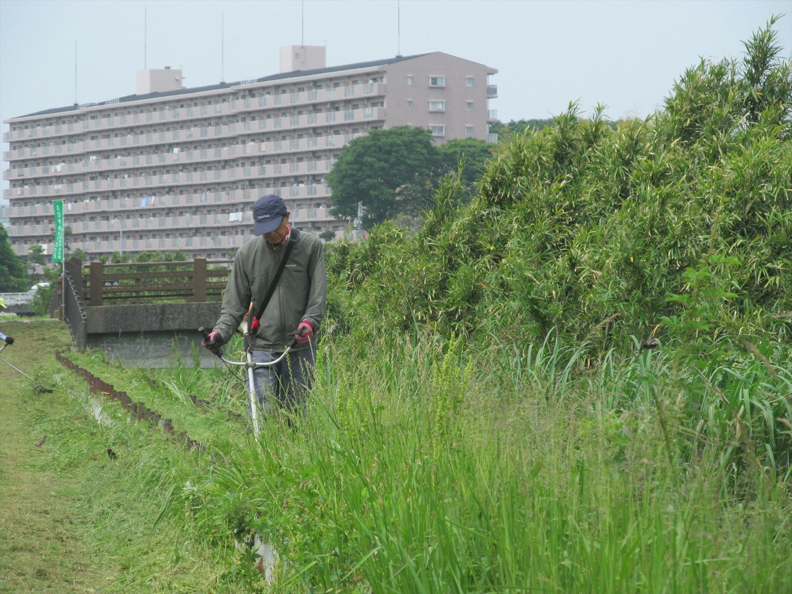 草刈中