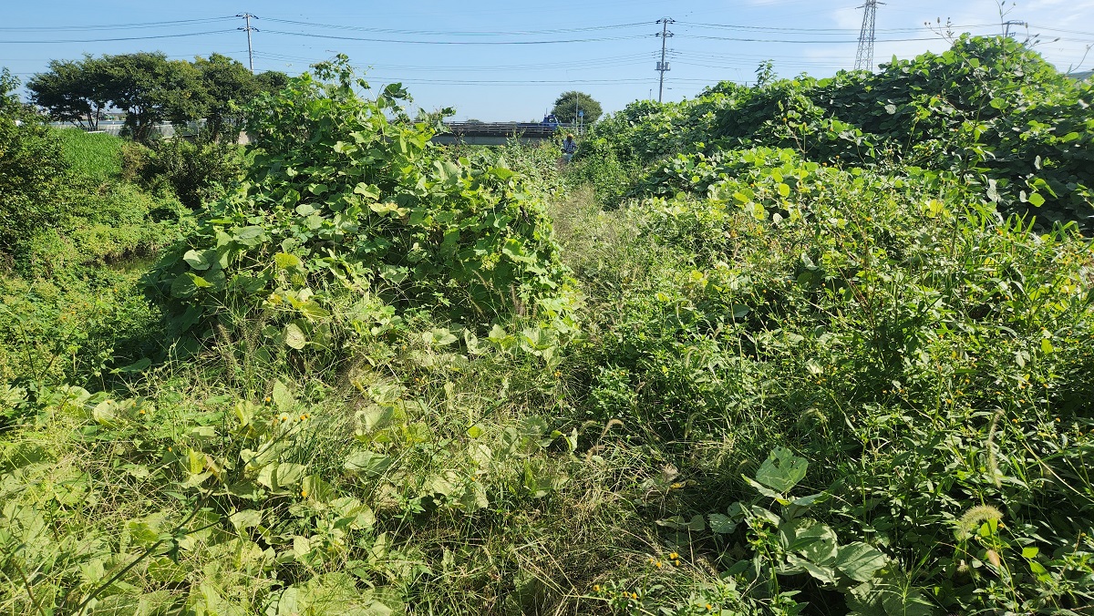 作業前