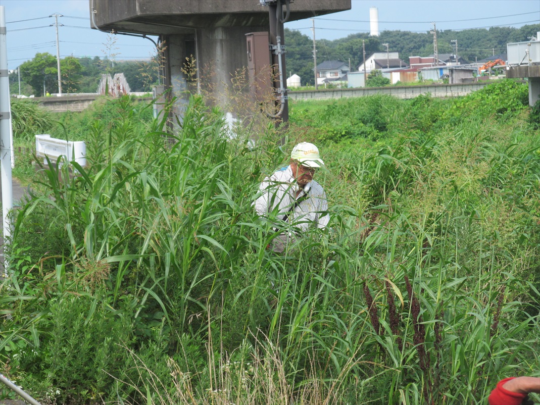 作業中