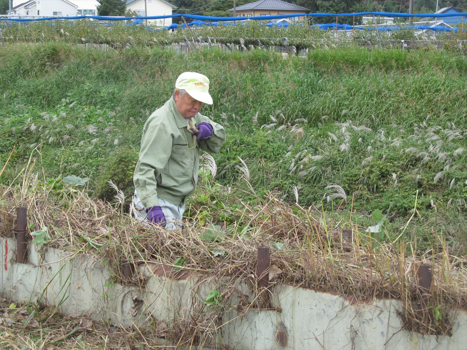 作業中