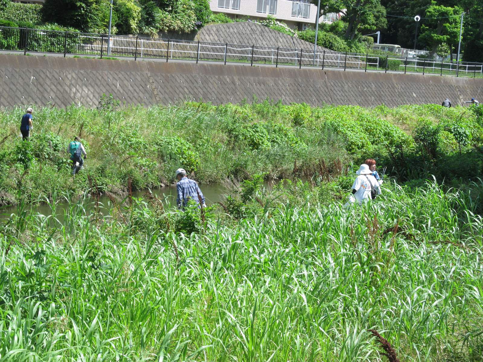 作業中